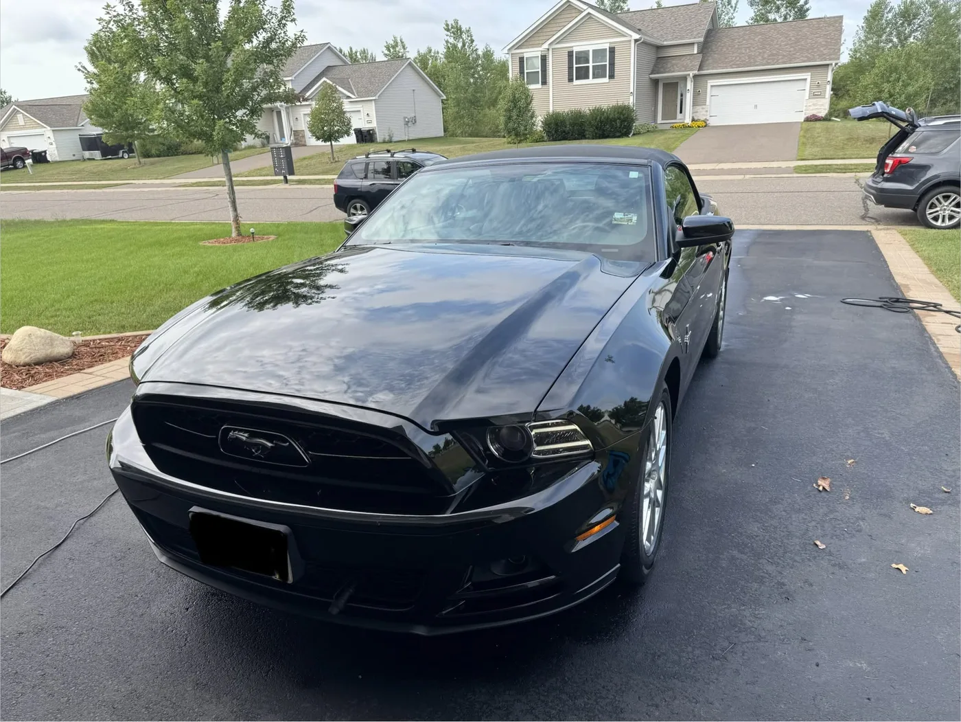 Detailed black Mustang photographed from the front